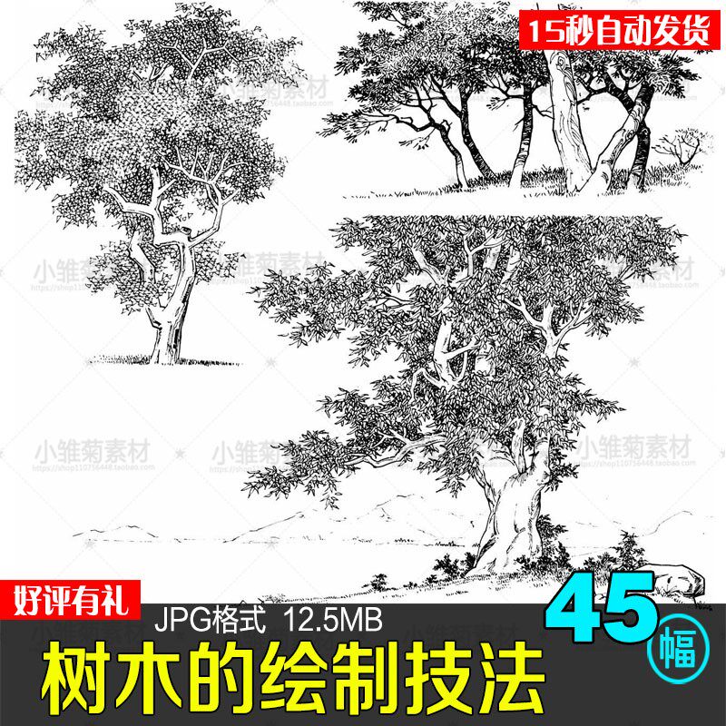 手绘园林植物花草树木风景场景画法技法线稿插图素描绘画素材a358
