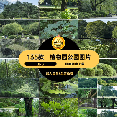 植物园公园森林JPG135款数目JPG背景jpg高清图片摄影绿叶JPG可