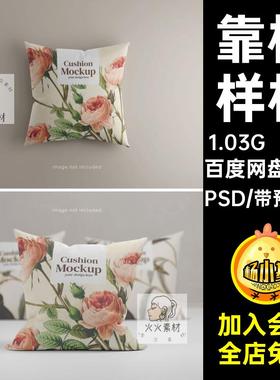 10款抱枕样机印花模板贴图靠枕素材设计智能VI枕头设计效果图PSD