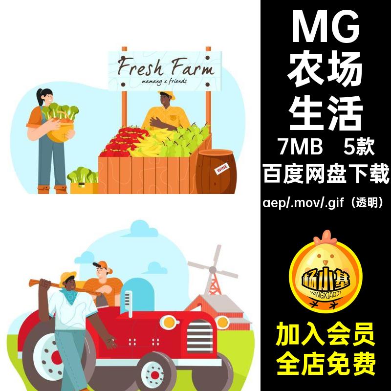 MG动画卡通人物场景果农民农场挤牛奶AE源文件透明GIFMOVPR素材