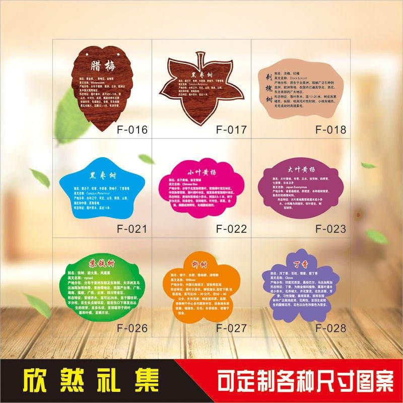 标识亚克力园艺植物牌牌牌树木挂牌牌子卡通名称牌定制做介绍牌