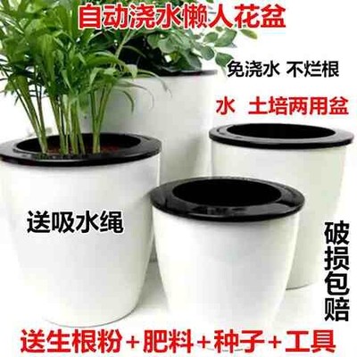 水生植物容器绿萝花盆自动吸水懒人水培器皿塑料储水盆免浇水大号