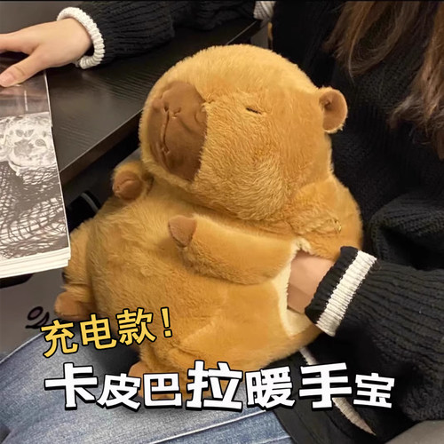卡皮巴拉暖宝宝水豚冬季插手热水袋暖手宝毛绒玩偶充电款暖水袋 - 封面