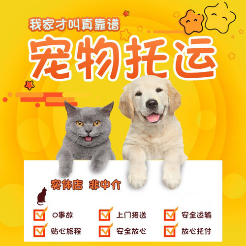 邮寄代办手续广州深圳宠物托运