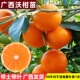 广西武鸣沃柑树苗正宗嫁接无籽核桔橘子果树果苗南方种植带土带叶