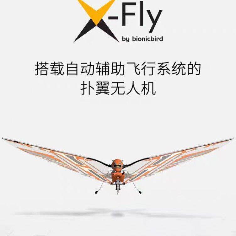 法国MetaFly仿生蜻蜓智能飞行昆虫科幻沙丘小型遥控扑翼无人飞机