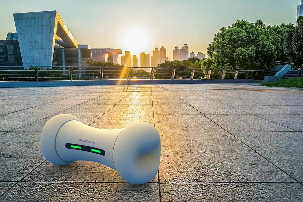 疯狂骨头智能宠物玩具狗狗互动