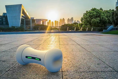 疯狂骨头智能宠物玩具狗狗互动