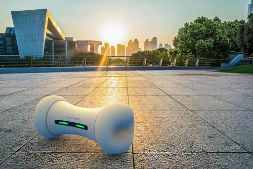 疯狂骨头智能宠物玩具狗狗互动