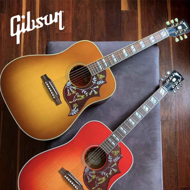 gibson吉普森hummingbird蜂鸟studio/standard/original鸽子dove