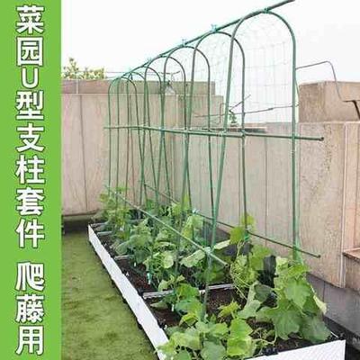 花园易萄葡架庭院子种菜蔬菜花拱门架子爬藤室外植物攀爬架