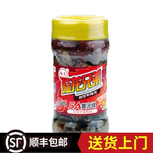 【陆龙兄弟5A黄泥螺】宁波海鲜特产即食醉黄泥螺玻璃瓶多瓶装