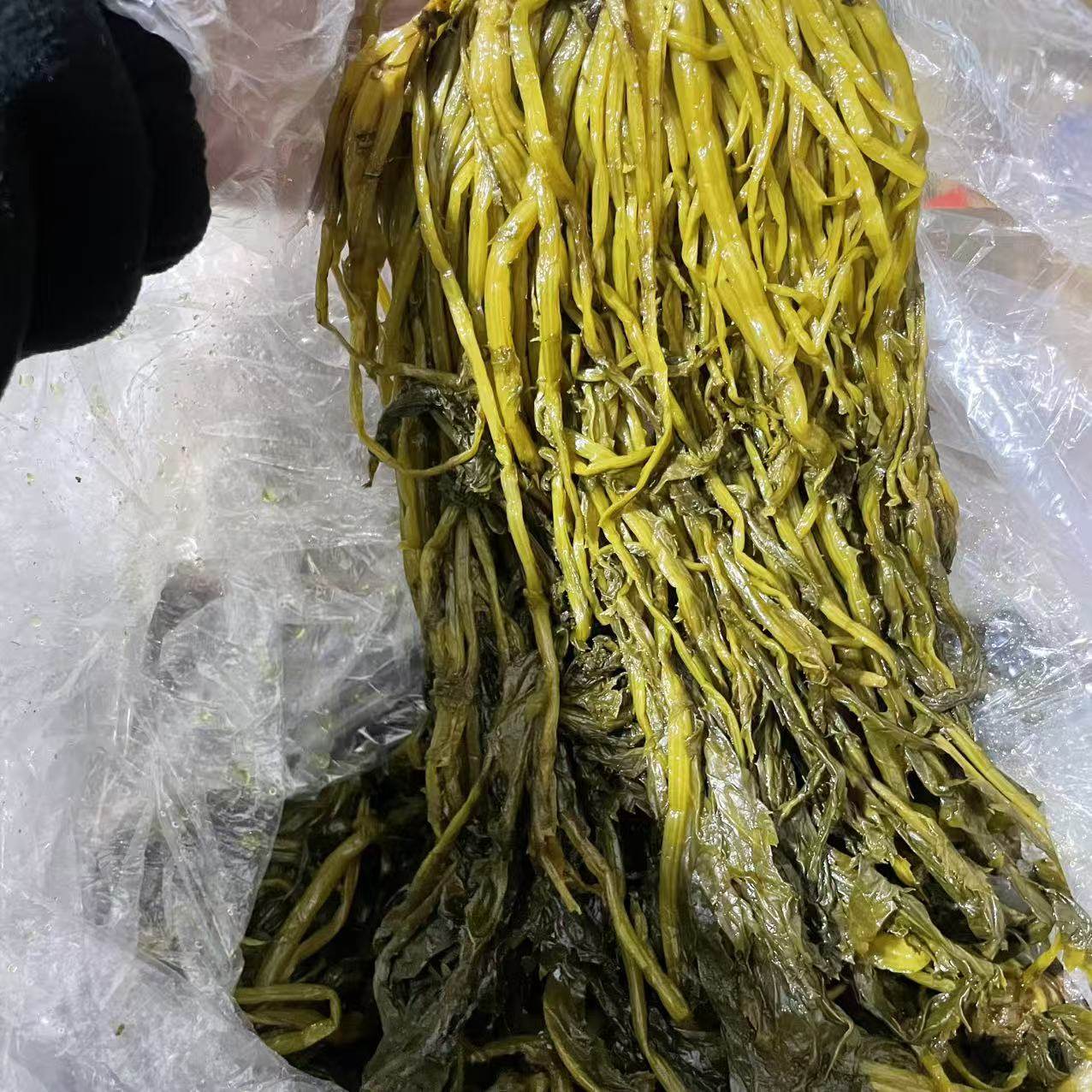 【宁波整颗雪菜整箱15斤】慈溪御坊斋咸菜酱腌菜商用全形雪里蕻,水产肉类/新鲜蔬果/熟食,腌制/榨菜/泡菜,淘宝优惠券,粉丝福利购,淘宝优惠卷