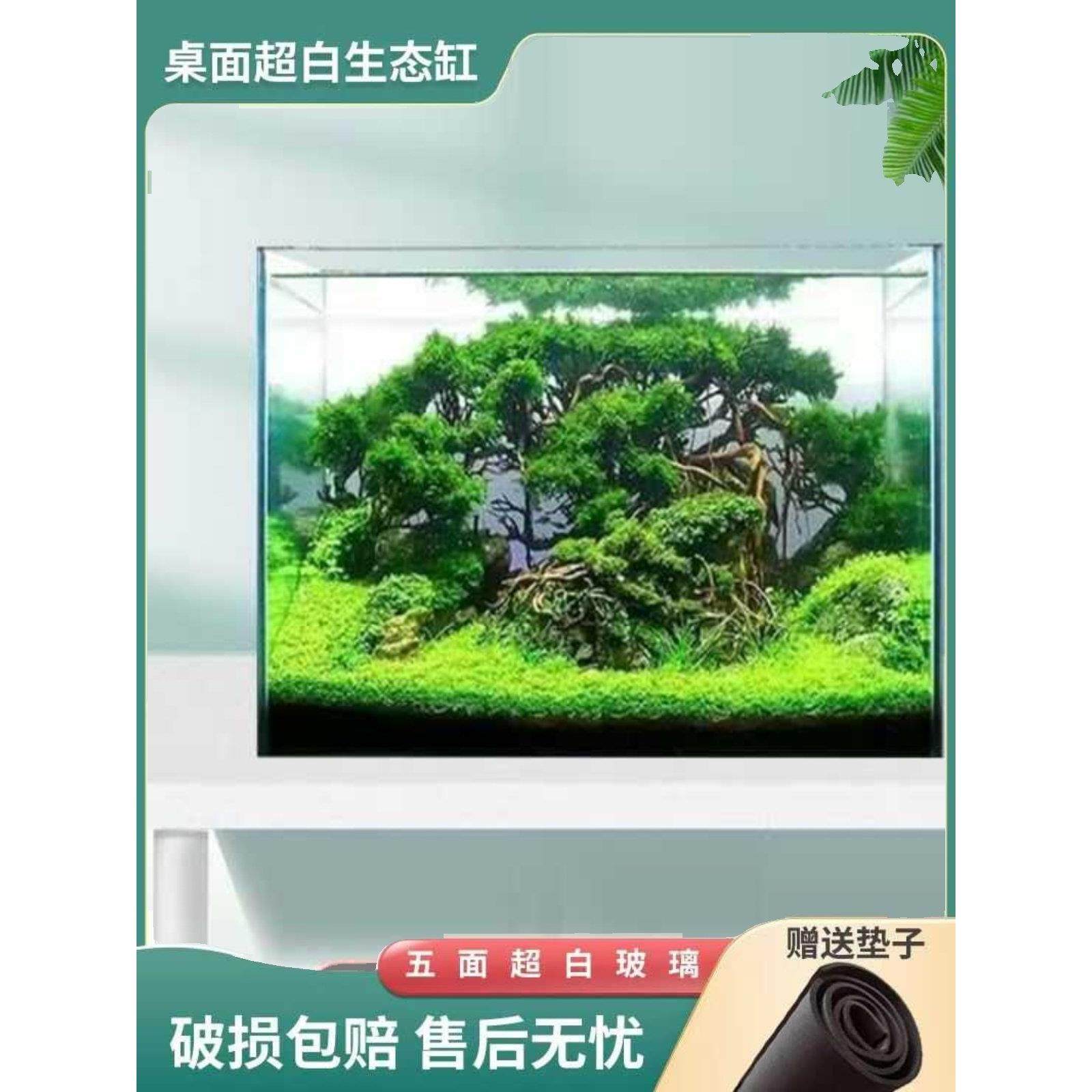 金晶超白玻璃鱼缸桌面客厅生态中小型斗鱼龟缸景观溪流缸水生植物