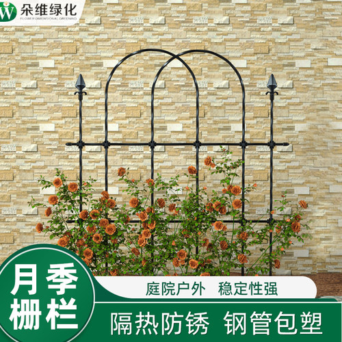朵维绿化月季爬藤栅栏户外支架