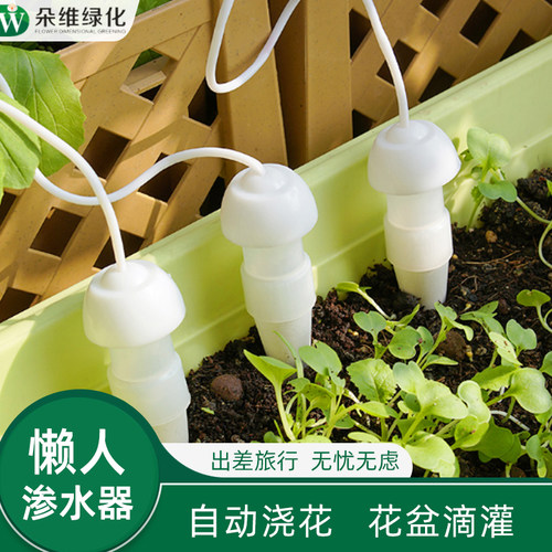 滴水器渗水头自动浇水懒人出差器