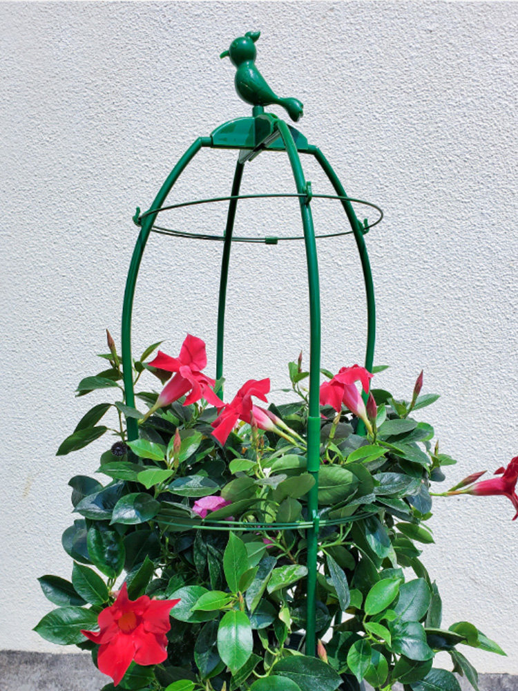 飘香藤花架玫瑰盆栽植物架铁线莲植物支架攀爬凉棚攀爬凉棚支撑架,鲜花速递/花卉仿真/绿植园艺,花架,淘宝优惠券,粉丝福利购,淘宝优惠卷