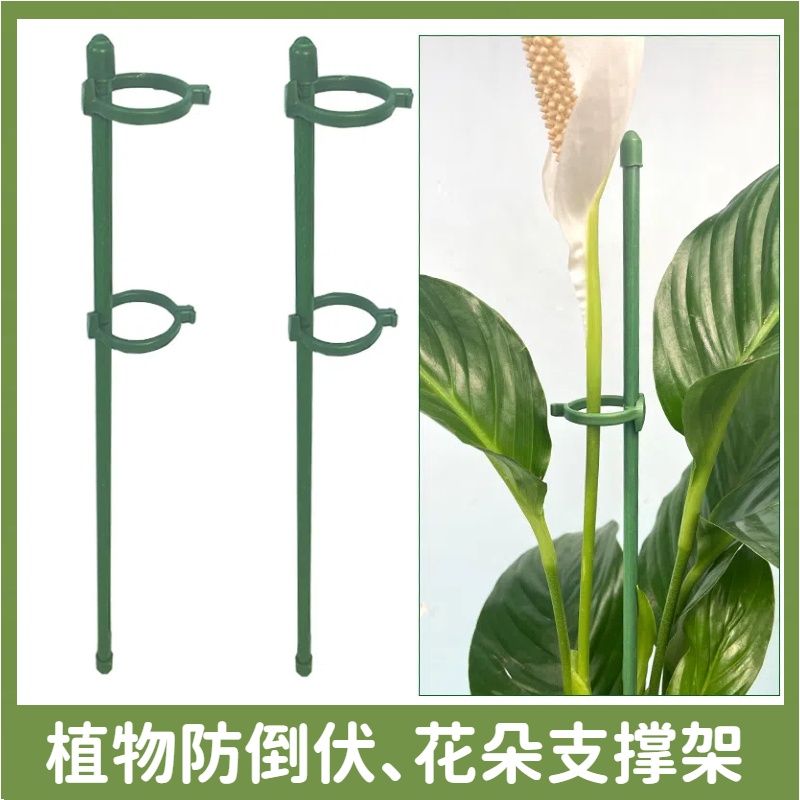 朵维园艺花卉防倒伏支撑杆