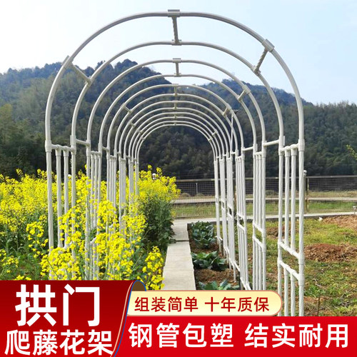 月季拱门朵维绿化爬藤架拱门花架