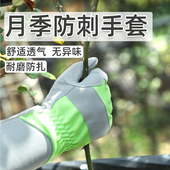 月季 防刺手套园林防护园艺花艺种花花园种植专用玫瑰打刺养花防扎