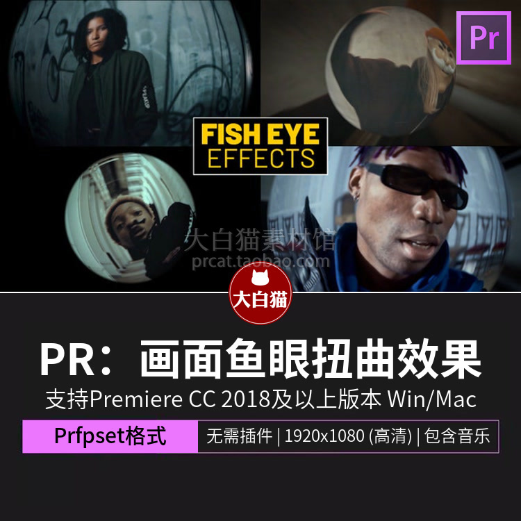 pr特效 鱼眼效果门镜畸变扭曲变形放大镜效果pr预设