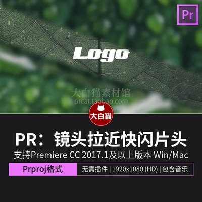 PR片头模板 9张照片视频空间感镜头拉近快闪15秒快剪动画Pr模板