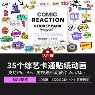 视频素材 35张自媒体VLOG漫画卡通贴纸综艺花字体动态图标动画