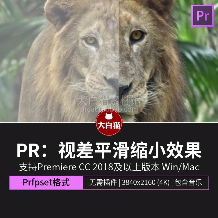PR预设 10种视差平滑缩小图片转化为视频3D效果Premiere预设