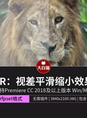 PR预设 10种视差平滑缩小图片转化为视频3D效果Premiere预设