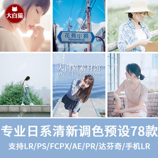 LR预设PS日系文艺小清新人像胶片旅拍FCPX手机LR滤镜PR调色LUTs