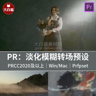 PR转场预设 8组淡入淡出淡化模糊视频过渡效果Pr预设