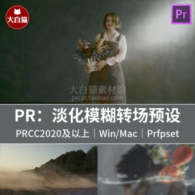 PR转场预设 8组淡入淡出淡化模糊视频过渡效果Pr预设