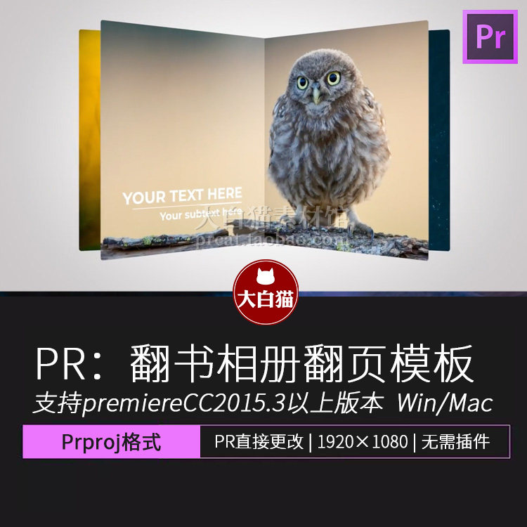 pr片头翻书效果相册翻页照片打开一本书幻灯片展示立体书pr模板