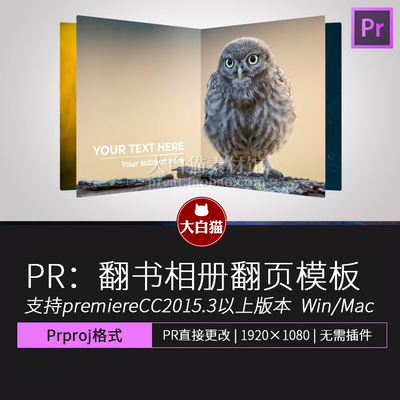 PR片头翻书效果相册翻页照片打开一本书幻灯片展示立体书PR模板