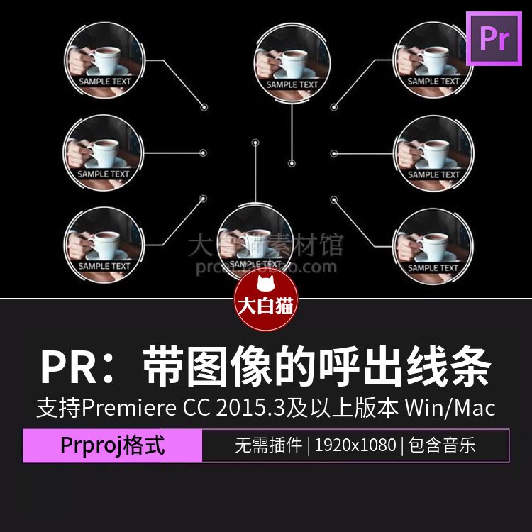 PR指示线条 极简排版标注解释带图像的呼出线条pr呼出字幕条