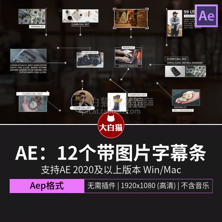 ae字幕模板 12个带图片的定点标注指示线条呼出标题字幕条Ae模板