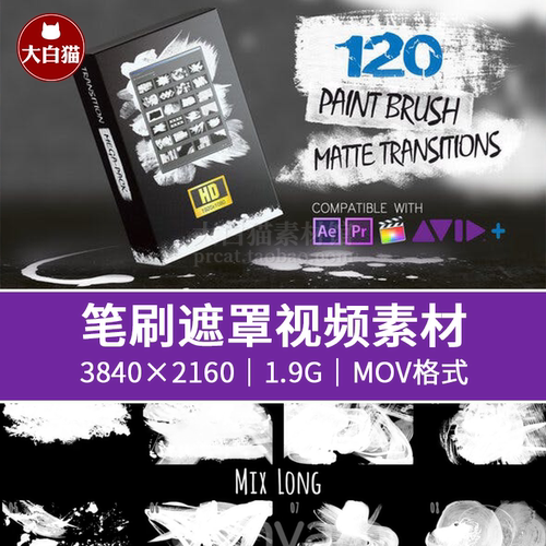 4K水墨笔刷转场视频素材 120个画笔涂抹擦除蒙板遮罩转场过渡动画