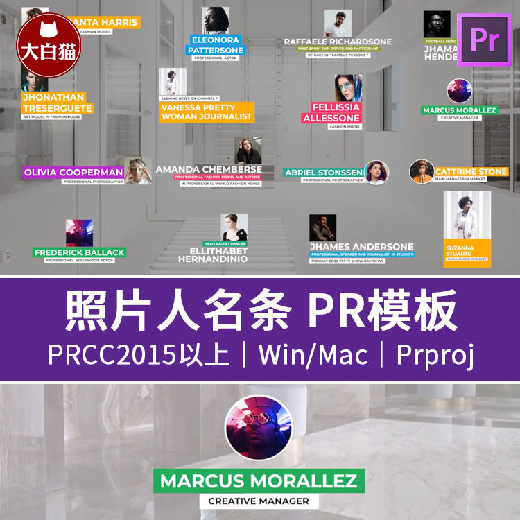 pr字幕条模板综艺人名照片头像展示文字介绍街头采访台词条pr模板