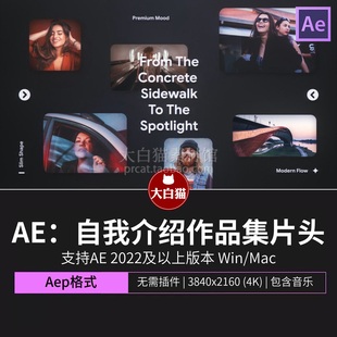 ae模板20秒图片展示旅行度假照片墙自我介绍作品集片头动画Ae模版