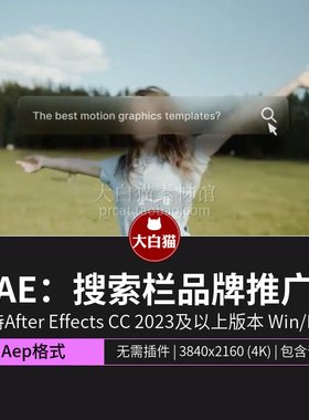 ae片头模板 半透明磨砂玻璃搜索栏企业宣传品牌推广视频Ae模板