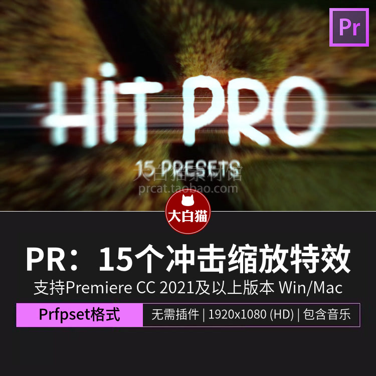 pr特效预设 15个画面冲击推拉镜头画面缩放特效premiere效果