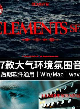 ACIDBITE诗意深沉氛围户外海浪篝火风声环境转场音效Elements SFX