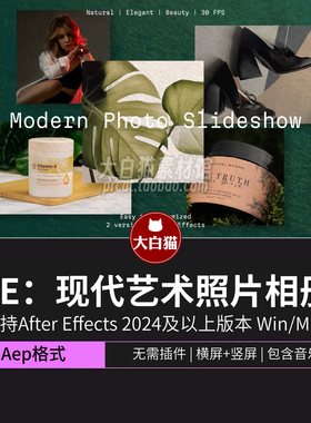 ae相册模板横竖现代动态照片墙幻灯片时尚艺术宣传展示动画AE模版