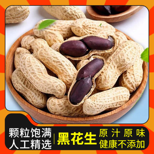 新货农家自种黑花生带壳生吃
