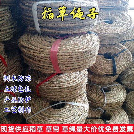 稻草绳子手工草绳稻草绳园林缠树包土球捆扎编织防冻粗细装饰草绳