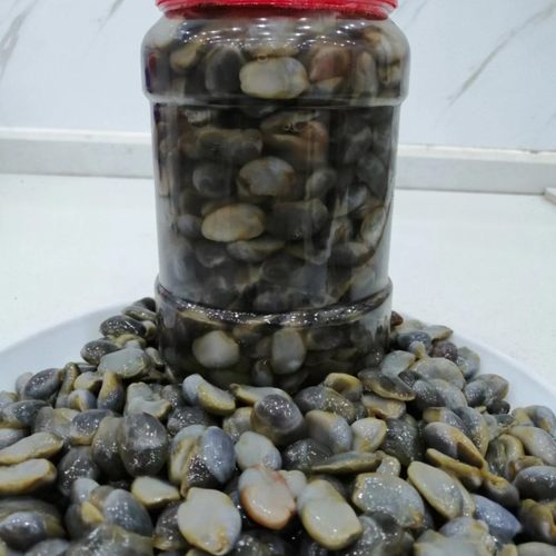 老张泥螺店非即食泥螺1000克1桶，需水浸泡(腌制食品冷冻保存)