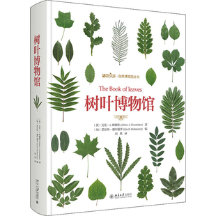 树叶博物馆(英)艾伦·J.库姆斯,(匈牙利)若尔特.德布雷齐科普读物其它北京大学出版社新华书店正版