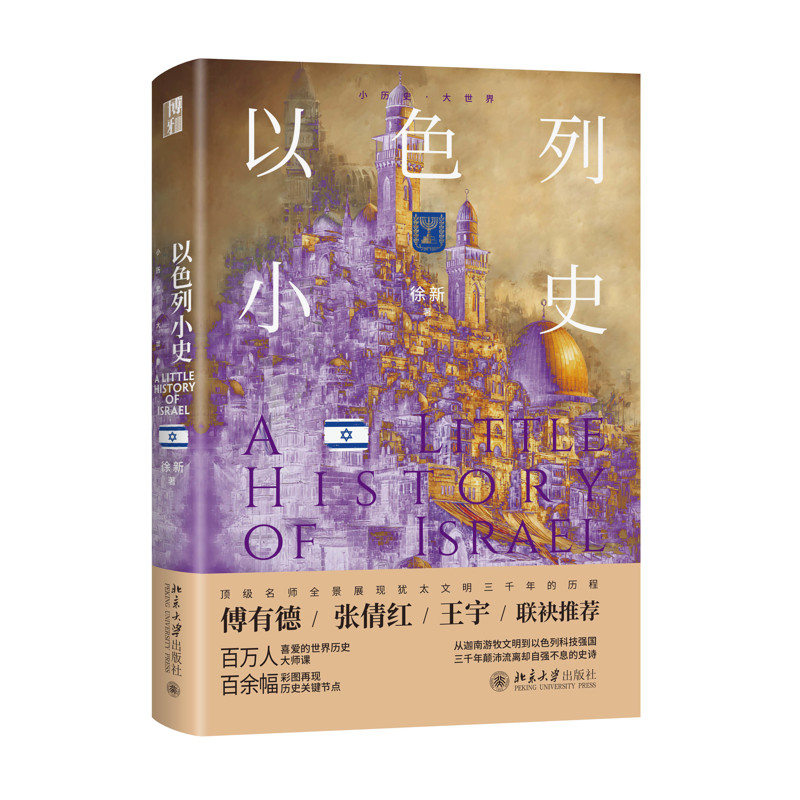 以色列小史徐新 著世界通史北京大学出版社新华书店正版