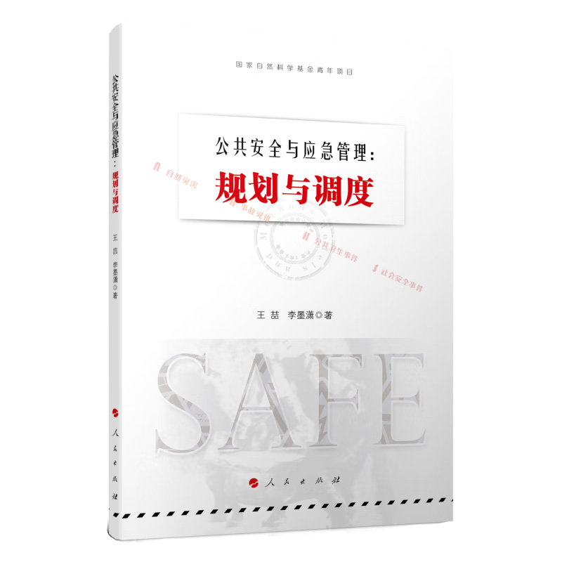公共安全与应急管理 规划与调度 王喆 李墨潇 著 规划与调度相集成的应急决策理论与方法等 人民出版社 新华正版书籍