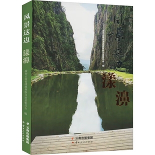 社新华书店正版 文学评论与研究云南人民出版 编文学理论 风景这边.漾濞政协云南省漾濞彝族自治县委员会